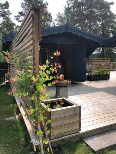 Timber cottages with jacuzzi and sauna near lake Vänern