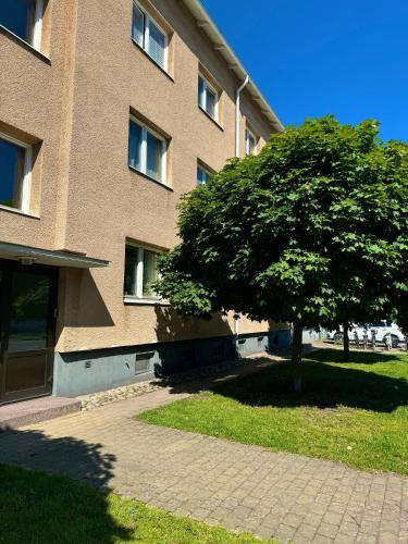 Nice guest apartment within walking distance to central station